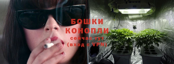 молекула духа Заводоуковск