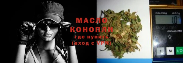 молекула духа Заводоуковск