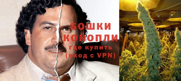 молекула духа Заводоуковск