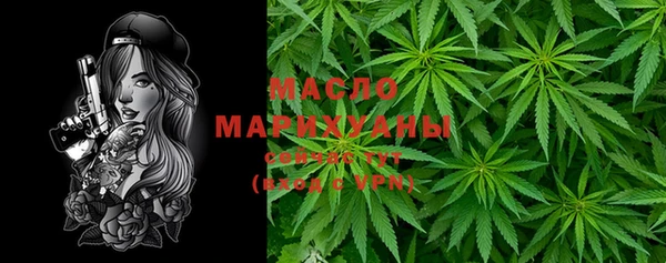 молекула духа Заводоуковск