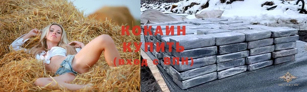 молекула духа Заводоуковск